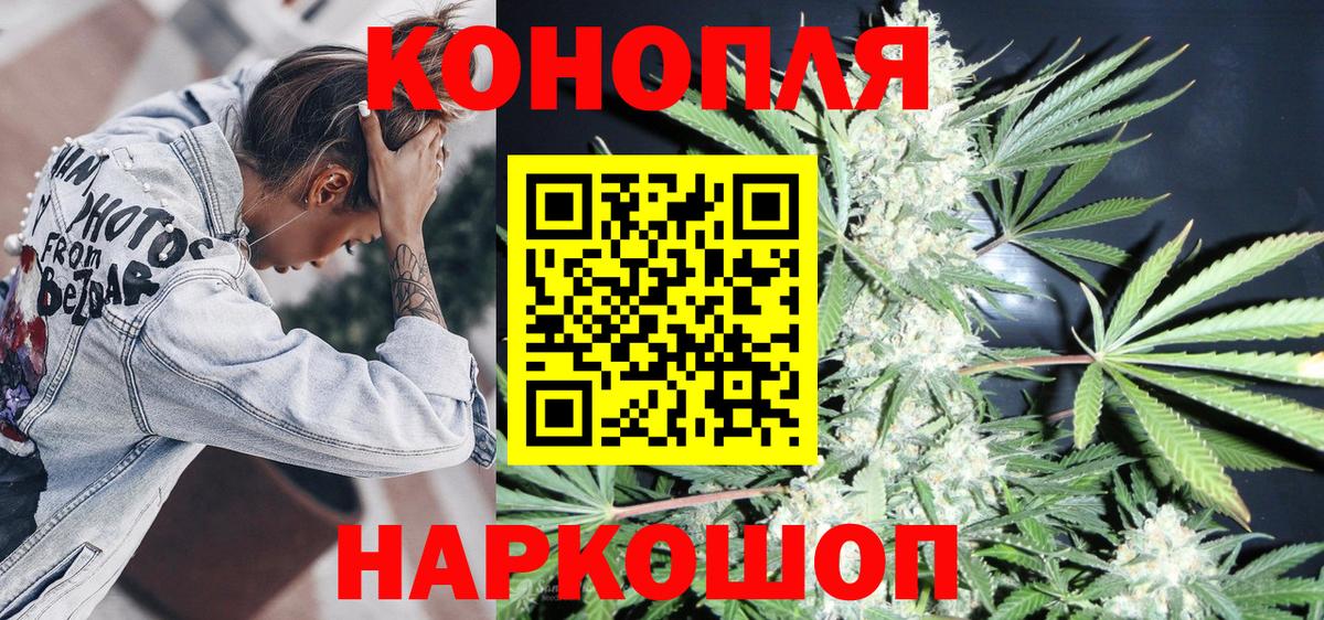 Конопля конопля Апшеронск